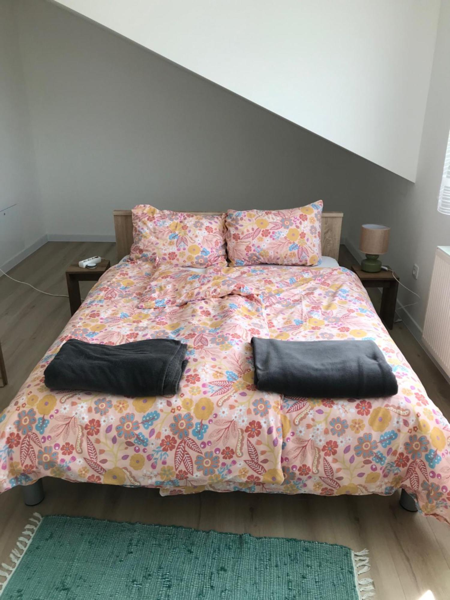 Apartman Slavonia 2 Ðakovo 外观 照片